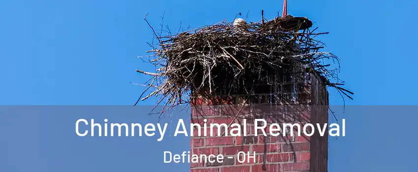  Chimney Animal Removal Defiance - OH