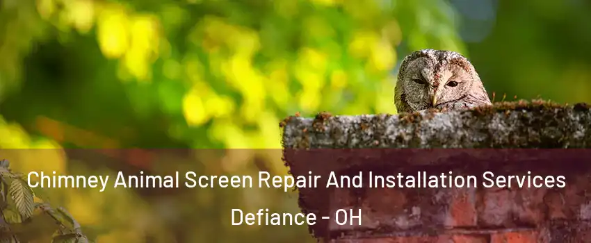 Chimney Animal Screen Repair And Installation Services Defiance - OH