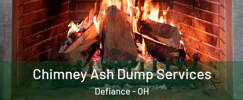  Chimney Ash Dump Services Defiance - OH