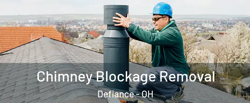 Chimney Blockage Removal Defiance - OH