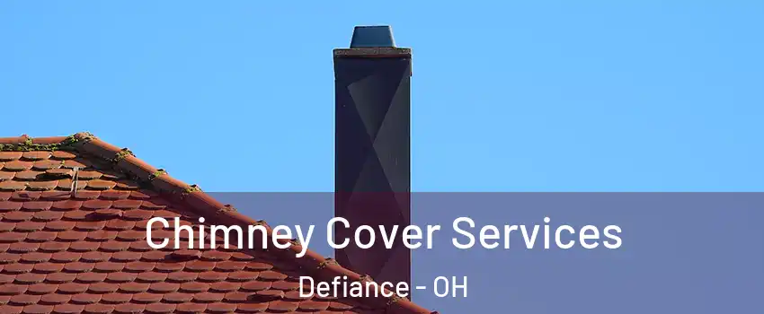 Chimney Cover Services Defiance - OH