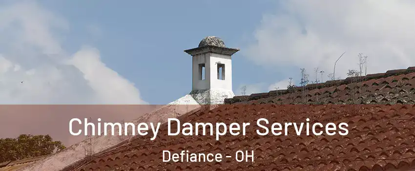  Chimney Damper Services Defiance - OH