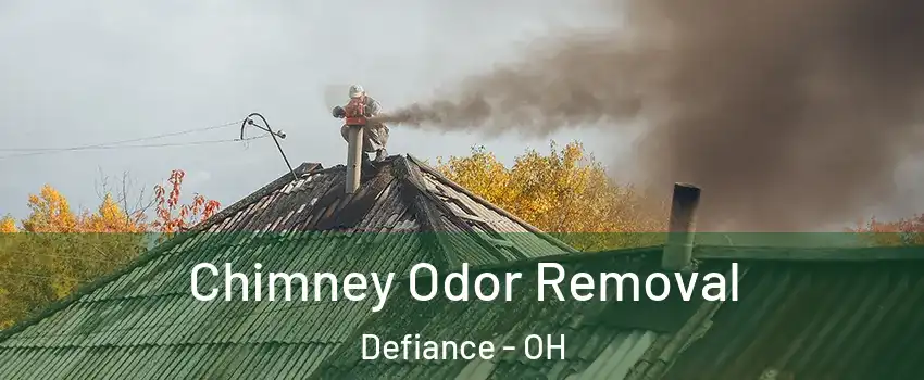 Chimney Odor Removal Defiance - OH