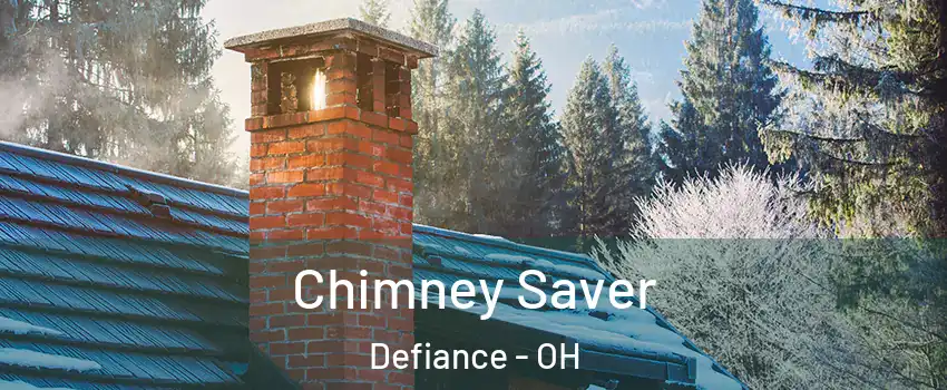  Chimney Saver Defiance - OH