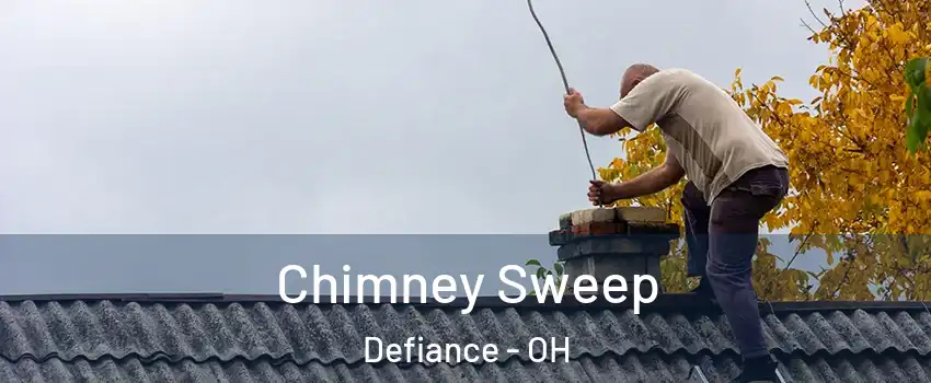  Chimney Sweep Defiance - OH
