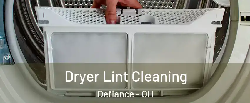  Dryer Lint Cleaning Defiance - OH