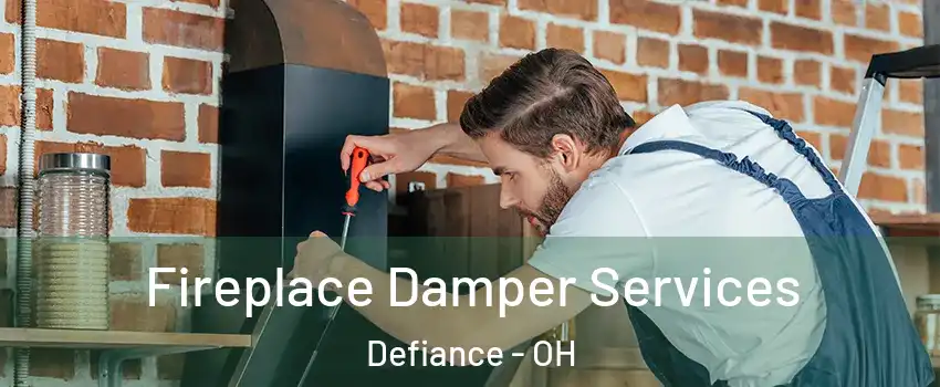  Fireplace Damper Services Defiance - OH