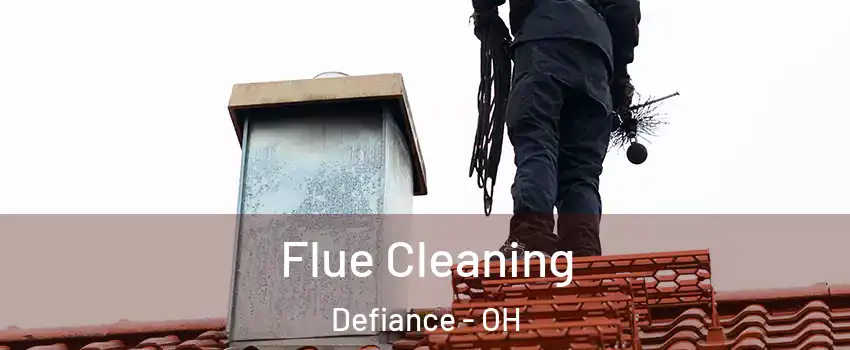 Flue Cleaning Defiance - OH