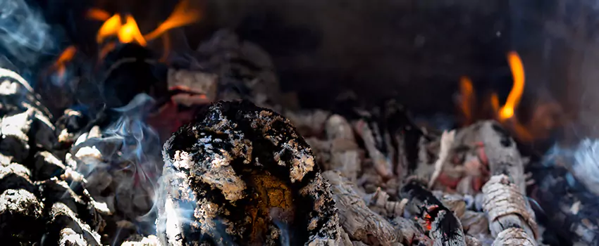 Creosote Removal Experts in Defiance, OH