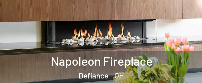  Napoleon Fireplace Defiance - OH