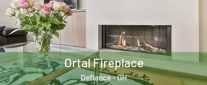  Ortal Fireplace Defiance - OH